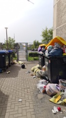 Foto: Abholung Gelbe Tonne 